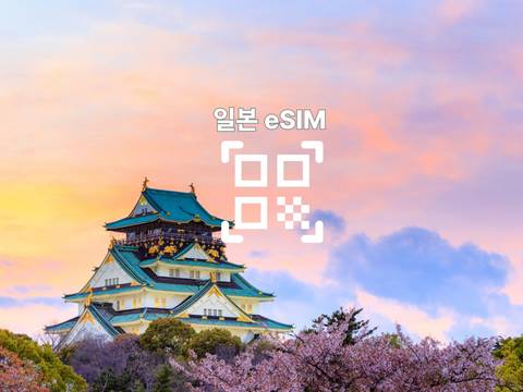 [일본 eSIM] 일본 로밍 로컬망 1~8일 매일 1/2GB | QR코드