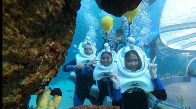 세부 오션파크 입장권 상품 사진 5
