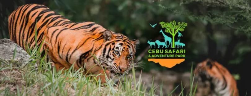 세부 사파리 & 어드벤처 파크 입장권 — 마이리얼트립